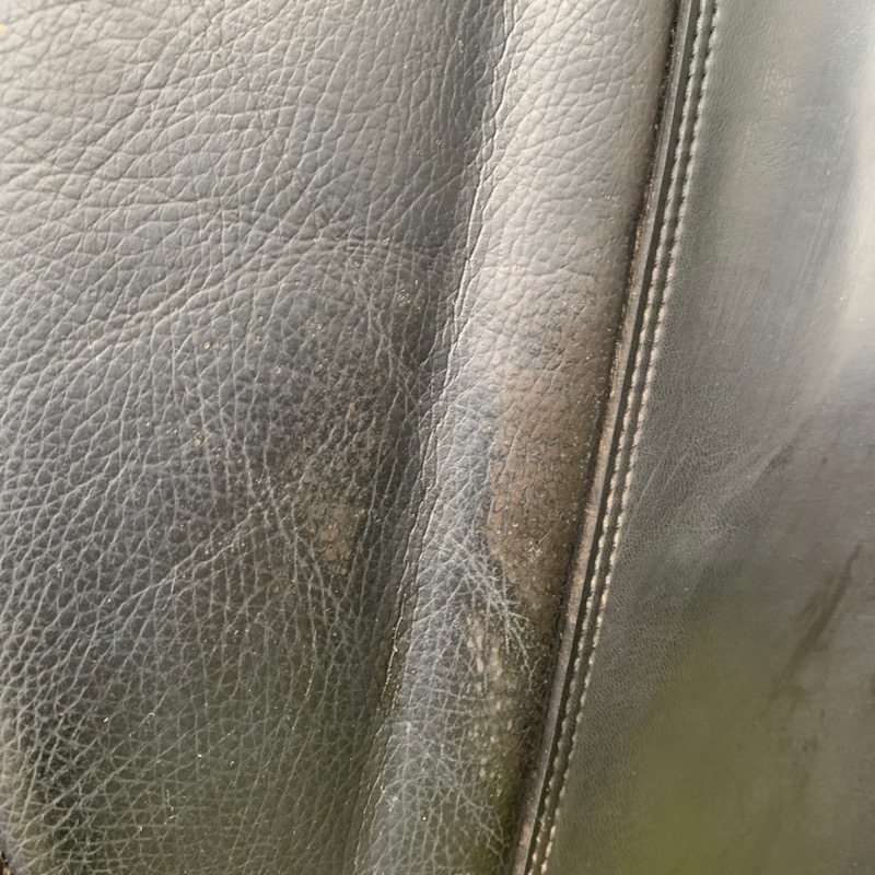 Thorowgood T6 18” High Wither Dressage (S2636)