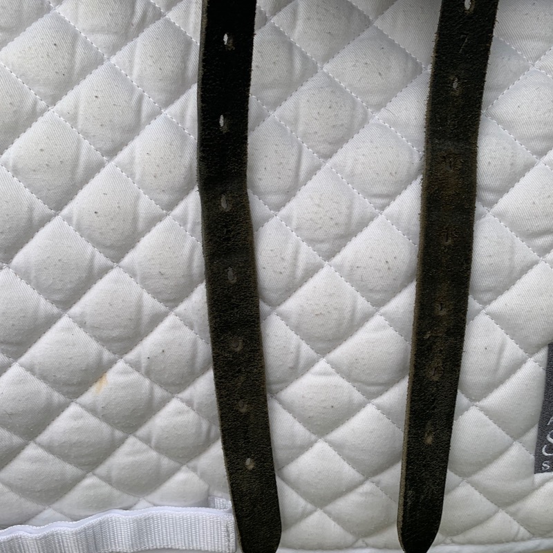 Thorowgood T6 18” High Wither Dressage (S2636)