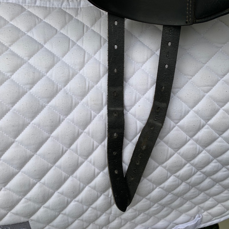 Thorowgood T6 18” High Wither Dressage (S2636)