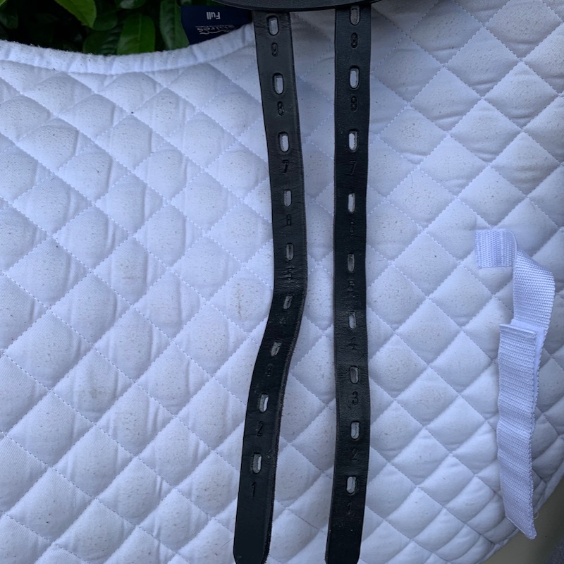 Thorowgood T4 17” Cob Dressage (S2681)